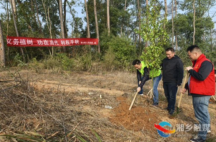 [栗山镇]义务植树添新绿  生态文明助振兴