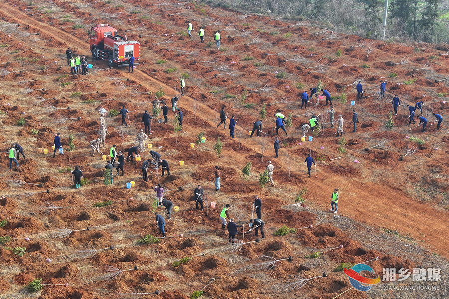 春风添新绿！湘乡开展义务植树活动