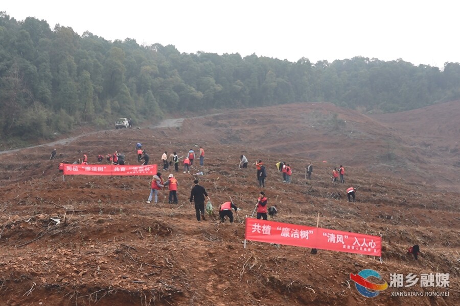 湘乡：“植”此青绿扬清风