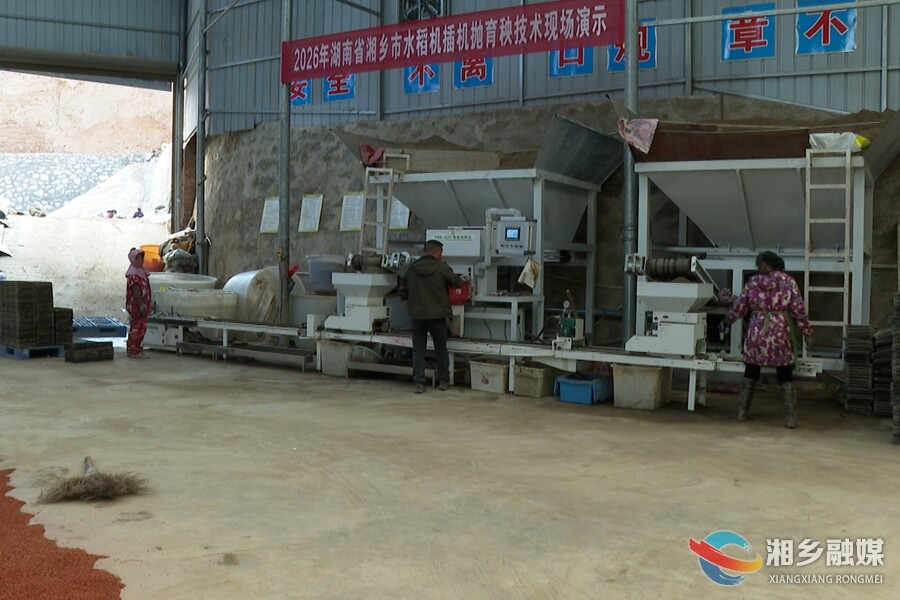 流水线上育秧苗 科技赋能春耕忙