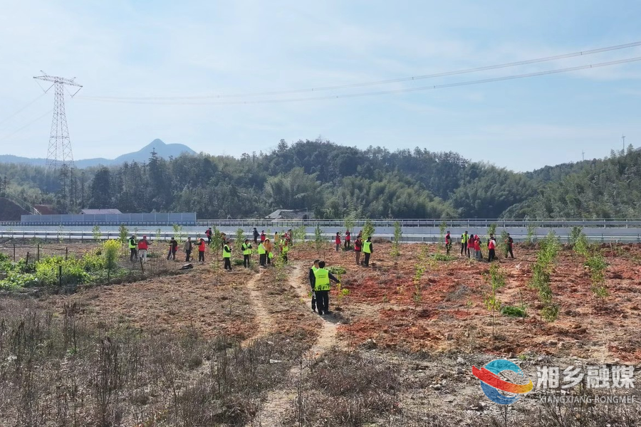 最是一年春好处 植树添绿正当时
