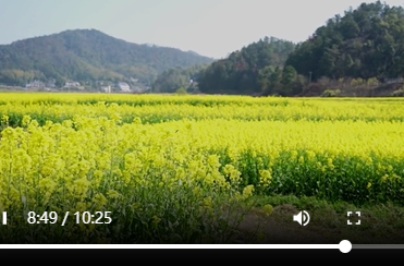 3月13日湘乡新闻