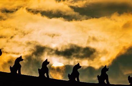 微视频｜新程之约