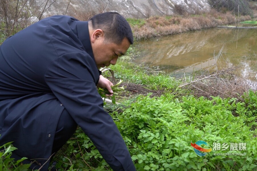 春野寻鲜 采摘正当时