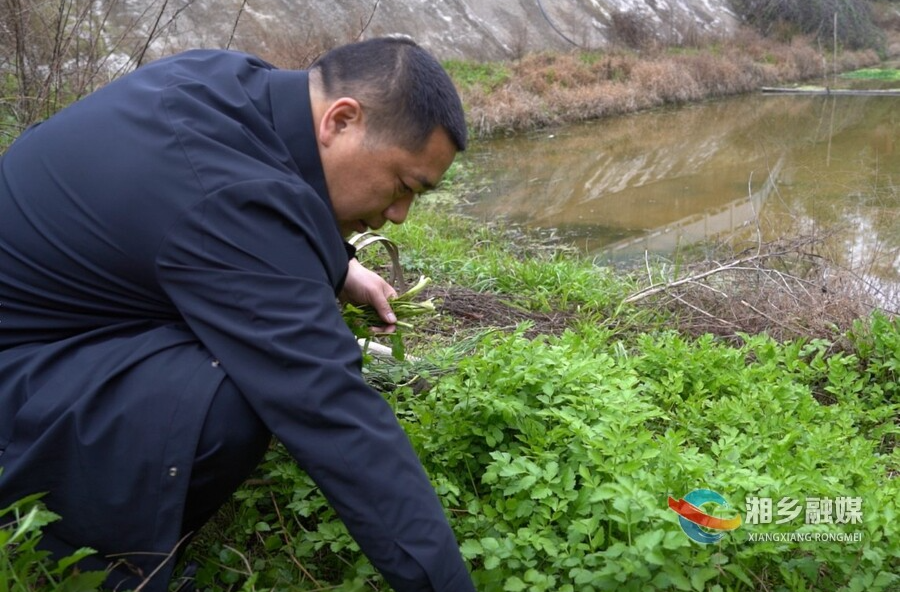 春野寻鲜 采摘正当时
