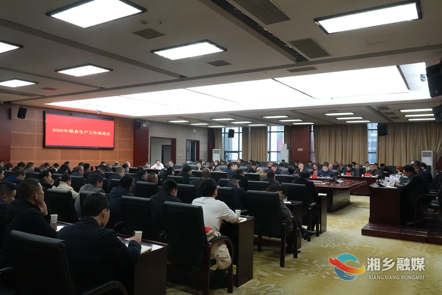 赵新文：聚焦“六个硬” 靶向发力   全力推进粮食生产工作