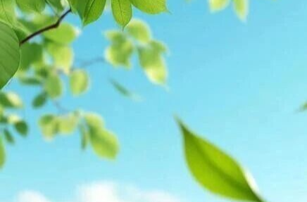 连休6天！湖南一地将放春假