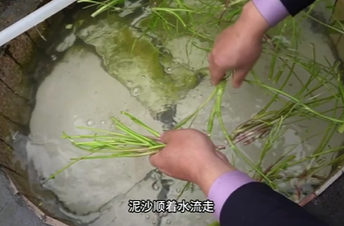 3月25日湘乡新闻