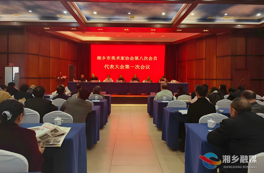 湘乡市美术家协会召开第八次会员代表会议