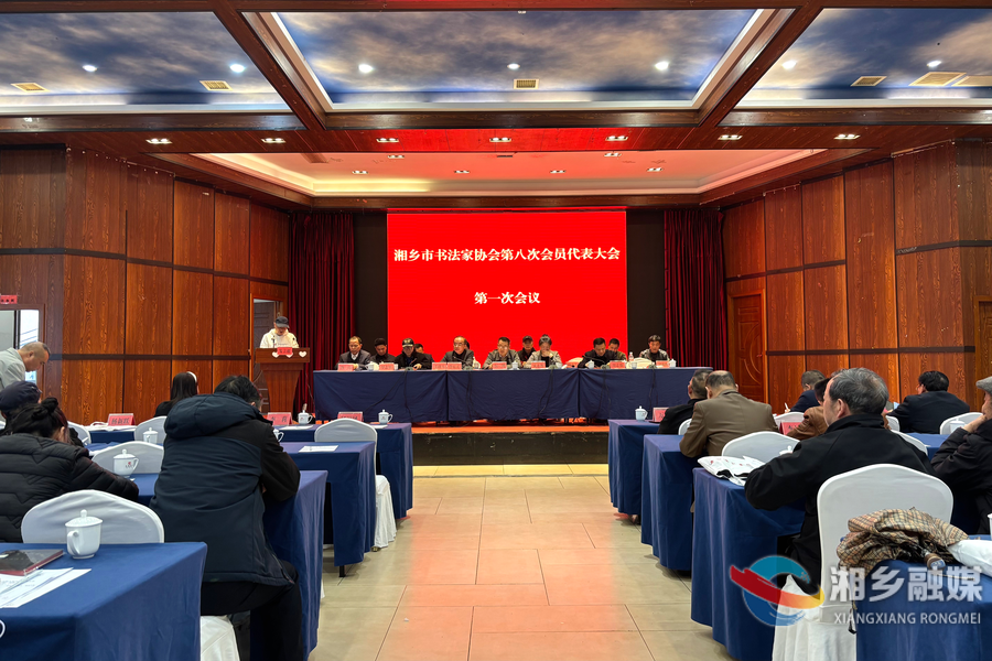 湘乡市书法家协会换届 傅炜当选主席