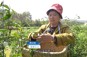 4月3日湘乡新闻