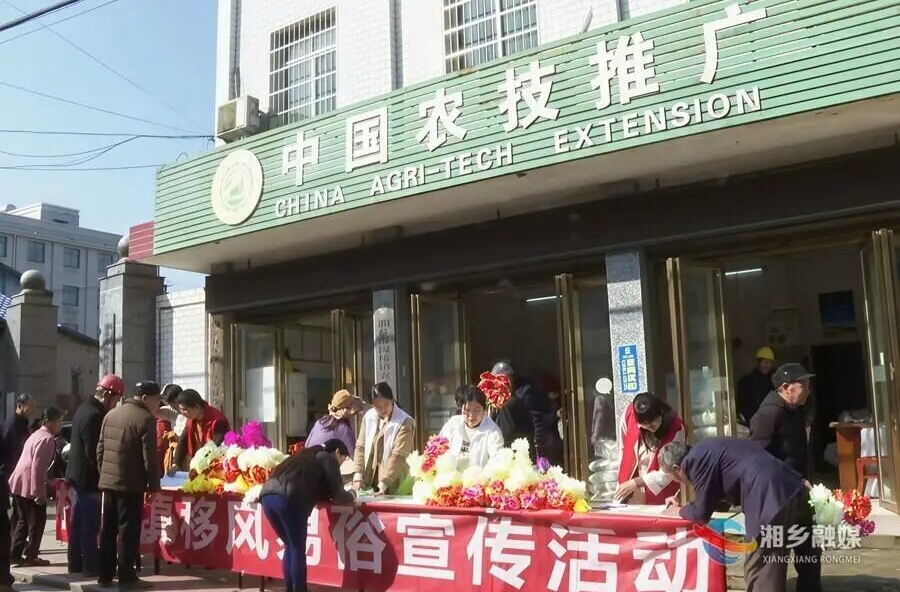 【我们的节日·清明】湘乡：鲜花寄哀思 文明过清明