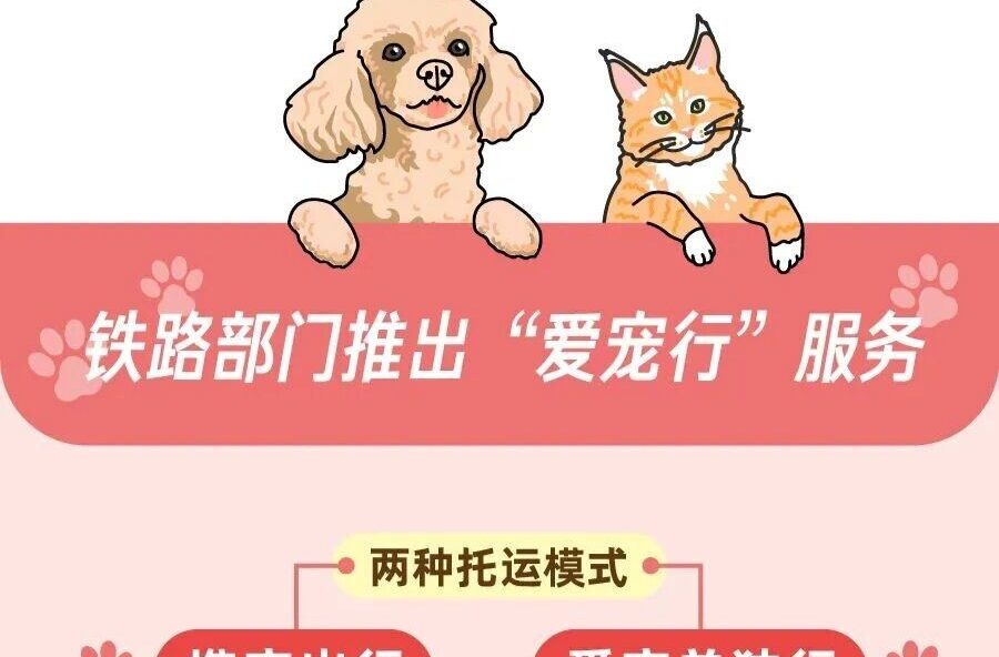121座高铁站，可托运宠物了
