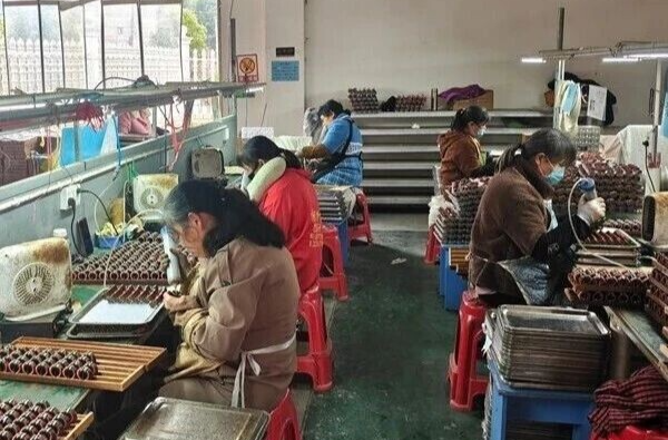 零门槛零距离！中沙镇梅龙村让村民在家门口实现就业增收