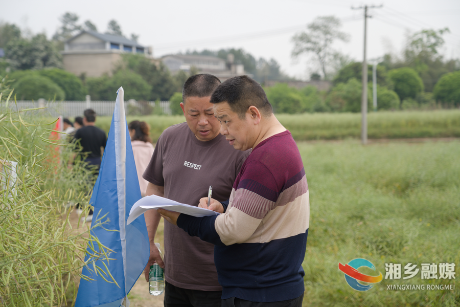 油菜新品种观摩培训 助力产业提质增效