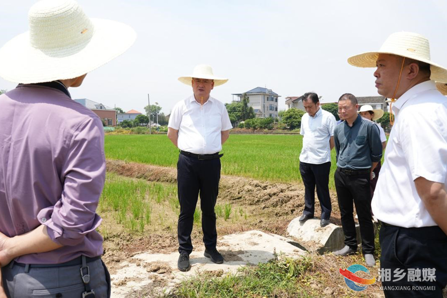 赵新文：扎实推进高标准农田建设 筑牢粮食安全根基