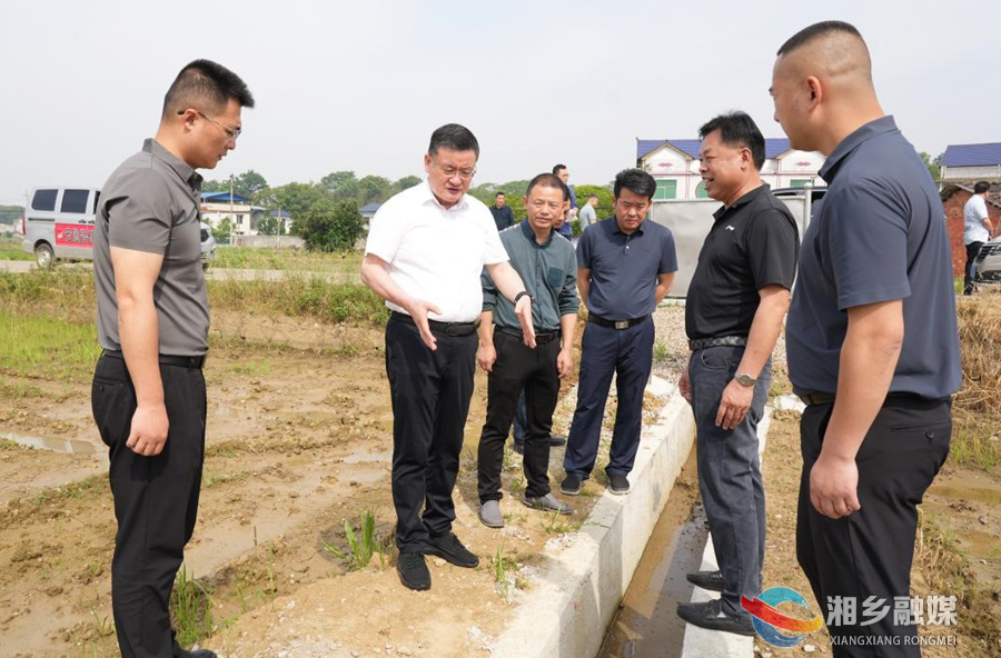 赵新文:扎实推进高标准农田建设 筑牢粮食安全根基