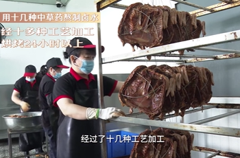 【湘乡味 才对味】臻峰酱板鸭