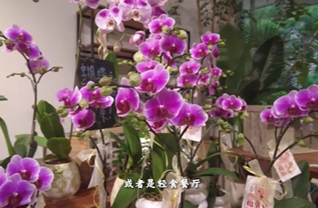 5月20日湘乡新闻