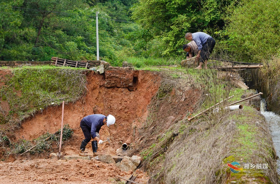 暴雨致东郊乡一山塘坝体局部垮塌 干群合力紧急抢修