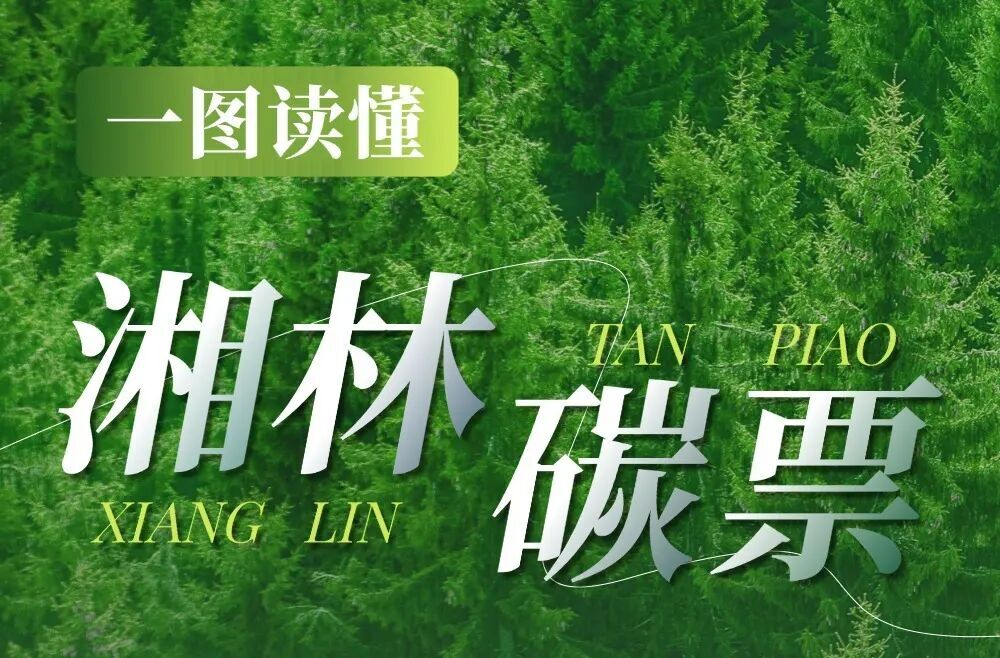 喜报！湘乡成功入选湖南省第二批 “湘林碳票” 签发名单