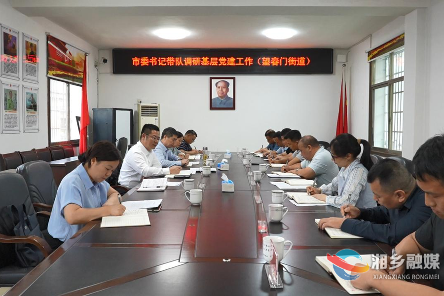 谭何龙在调研全市基层党建工作时强调：以党建为引领 走好新时代长征路