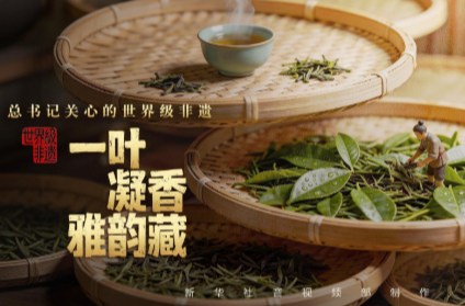 总书记关心的世界级非遗｜一叶凝香雅韵藏