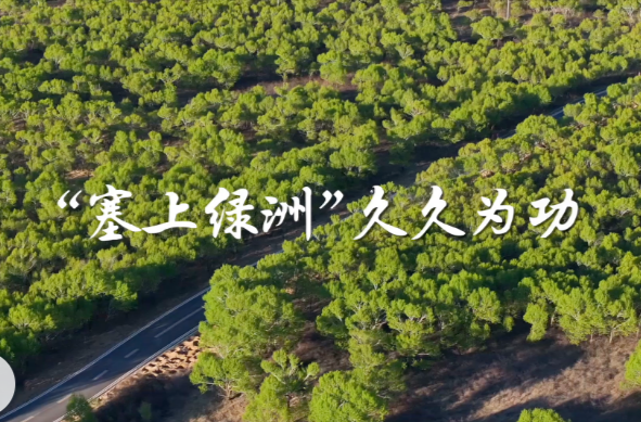 学习·故事丨“塞上绿洲”久久为功