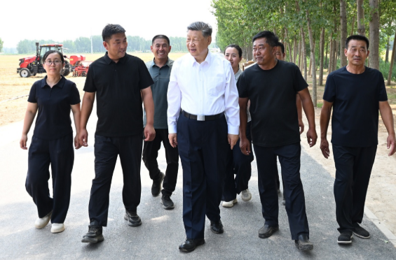 近镜头｜总书记心系“中国饭碗”