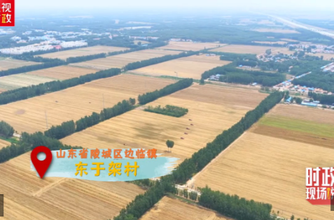 时政现场说丨共绘“三夏”好“丰”景 下好振兴“一盘棋”