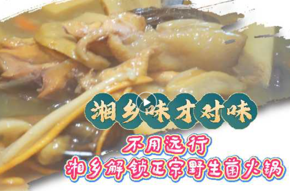 不用跑云南！湘乡本地就能吃到正宗鲜甜野生菌火锅