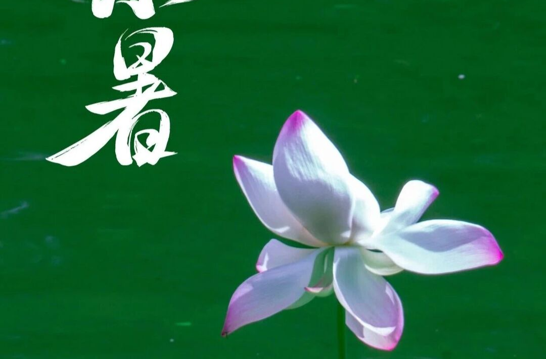 今日小暑 | 雨歇云开 盛夏登场