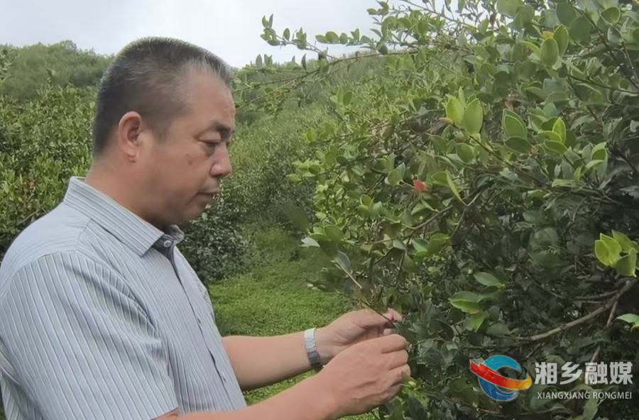 【“两优一先”风采录】熊志祥：扎根林海廿七载 初心如磐护青山