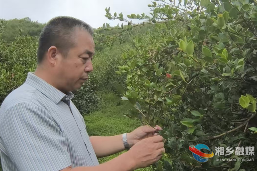 【“两优一先”风采录】熊志祥：扎根林海廿七载 初心如磐护青山