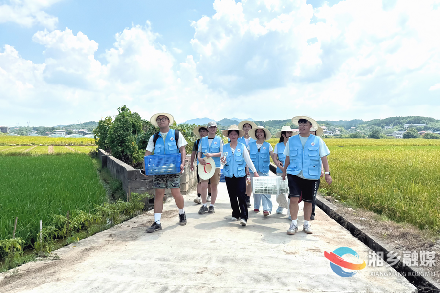 云端助农解民忧！湘潭理工学院学子走进壶天镇开展社会实践活动