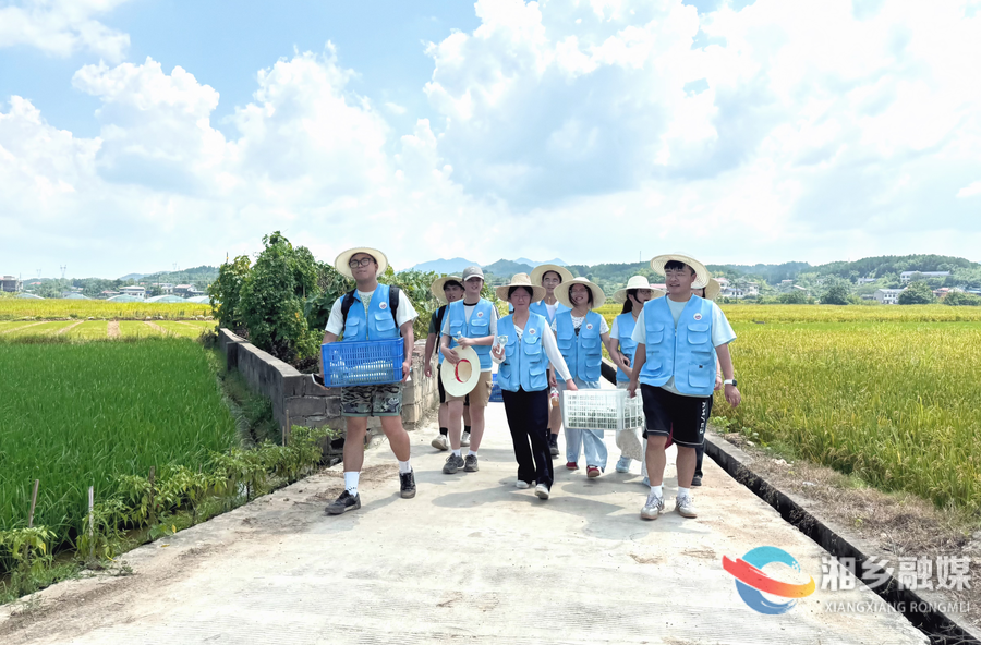 云端助农解民忧！这群大学生走进壶天镇助力乡村振兴