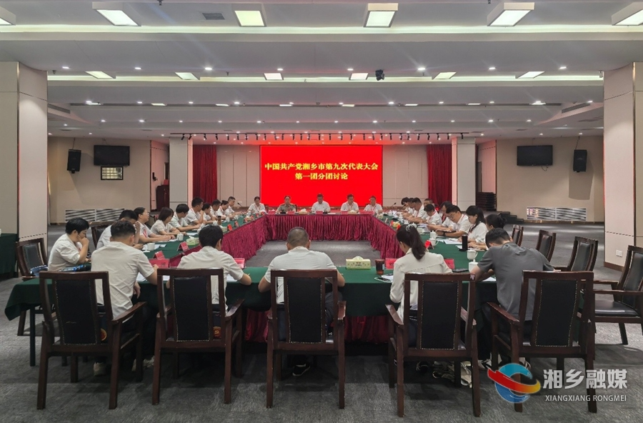 谭何龙、唐宁等参加各代表团分团讨论