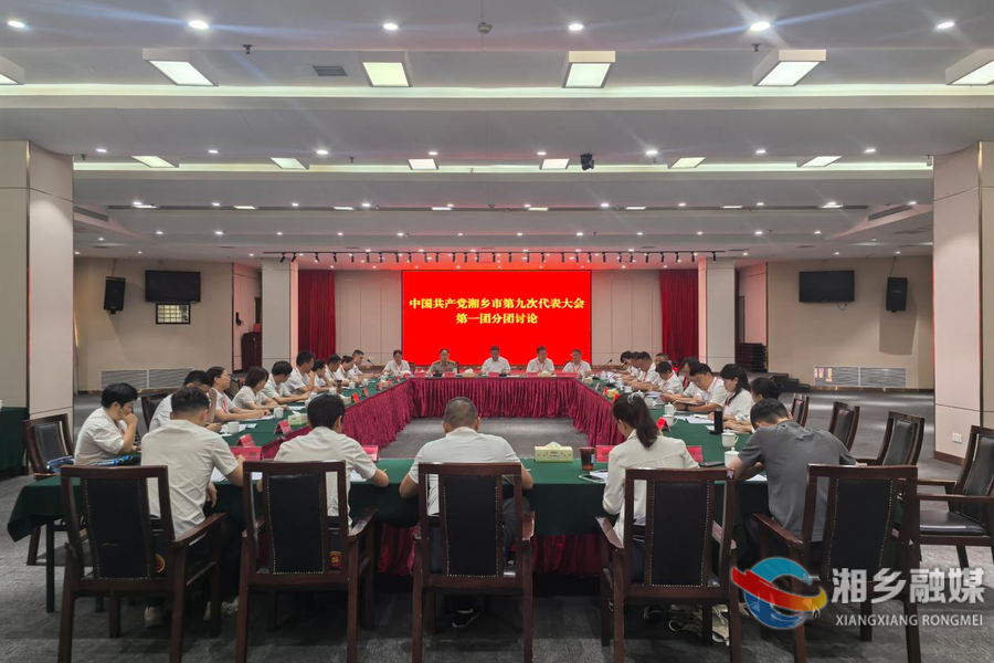 谭何龙参加湘乡市第九次党代会第一代表团讨论