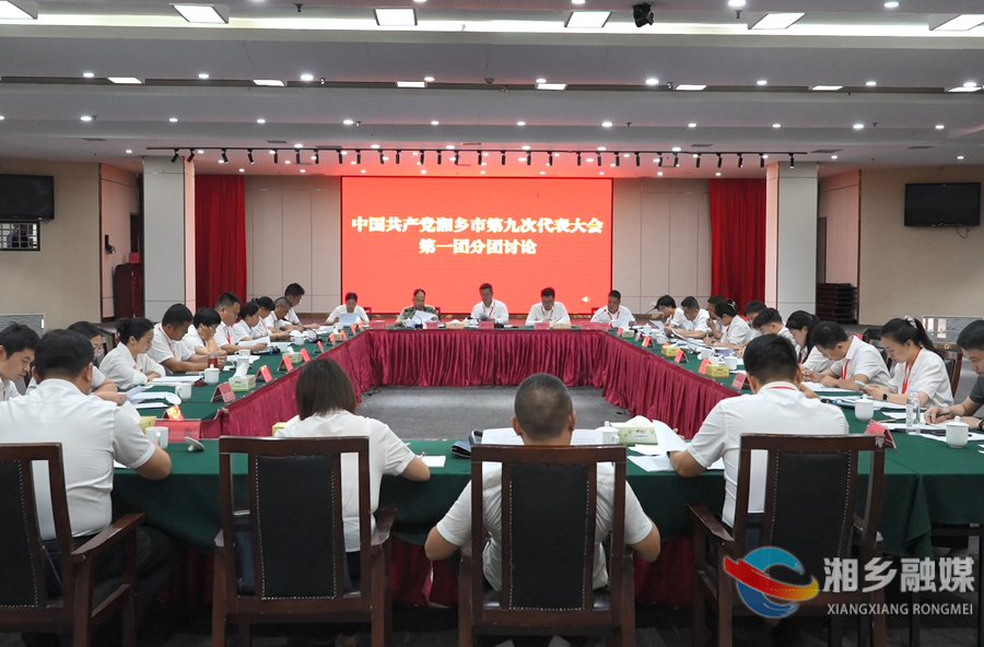 谭何龙参加湘乡市第九次党代会第一代表团讨论