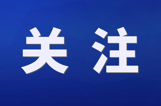 好评中国丨以破茧之勇改写时势，以实干之力重塑赛道