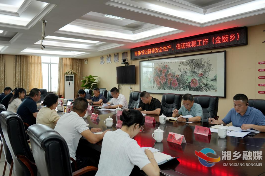 谭何龙到乡镇督导安全生产与信访维稳等工作
