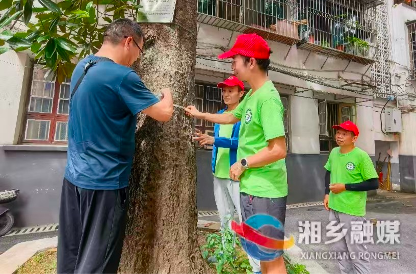 [湘潭民间林长湘乡市中队]为古树“把脉问诊”  守护城市“活化石”