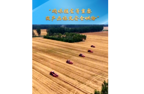 一习话丨“确保粮食等重要农产品稳定安全供给”