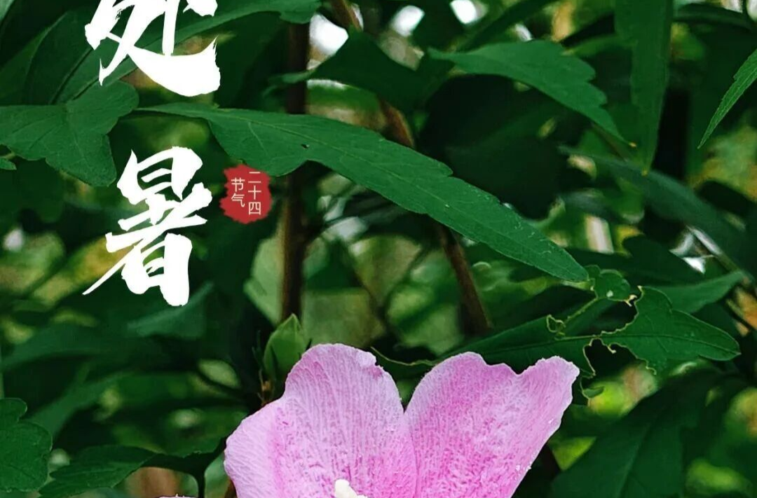 今日处暑 | 暑尽风凉，万物丰盈
