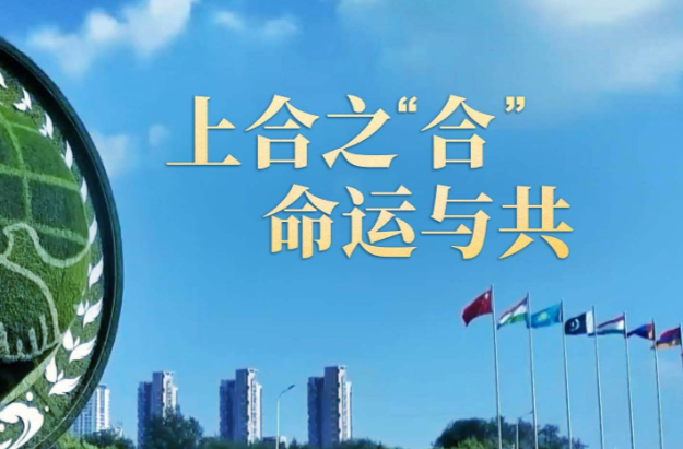 大道行丨上合之“合” 命运与共