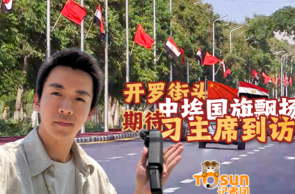 时政Vlog丨开罗街头中埃国旗飘扬 期待习主席到访
