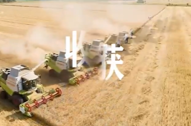 2026全国科普月宣传视频
