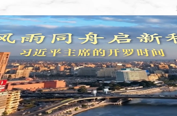 视频画报｜习近平主席的开罗时间