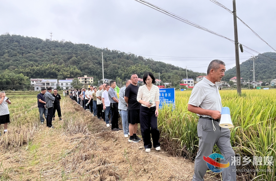 湘潭市中稻植保贡献率评价试验现场观摩暨科学安全用药技术交流活动在湘乡举行