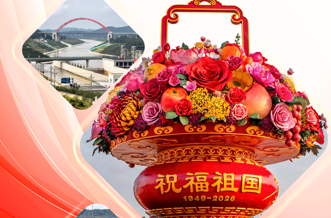 时政微观察丨实干为笔，书写时代答卷